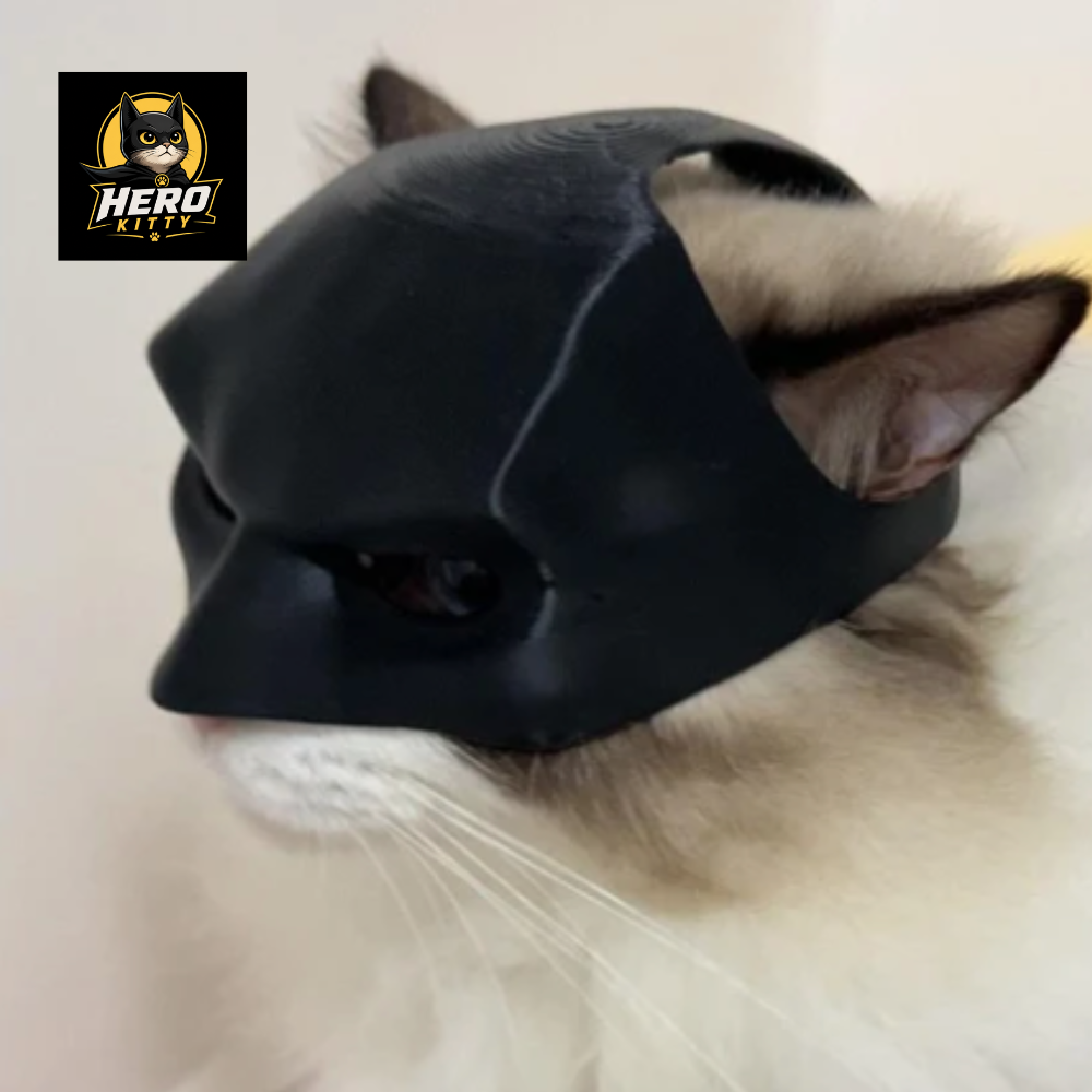 The BatCat Mask
